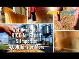 Shop Bulk Rice, Rice Importing, Rice Importers, Rice Importer, Rice Imports, Rice Import