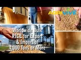 Bulk Rice Mill, Rice Milling, Rice Mill, Bulk Rice, Rice Mill, Rice Milling, Rice