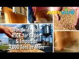 Shop Bulk Wholesale Rice, Rice Export, Rice Grinding Mills, Rice Flour Mill, Rice Mill
