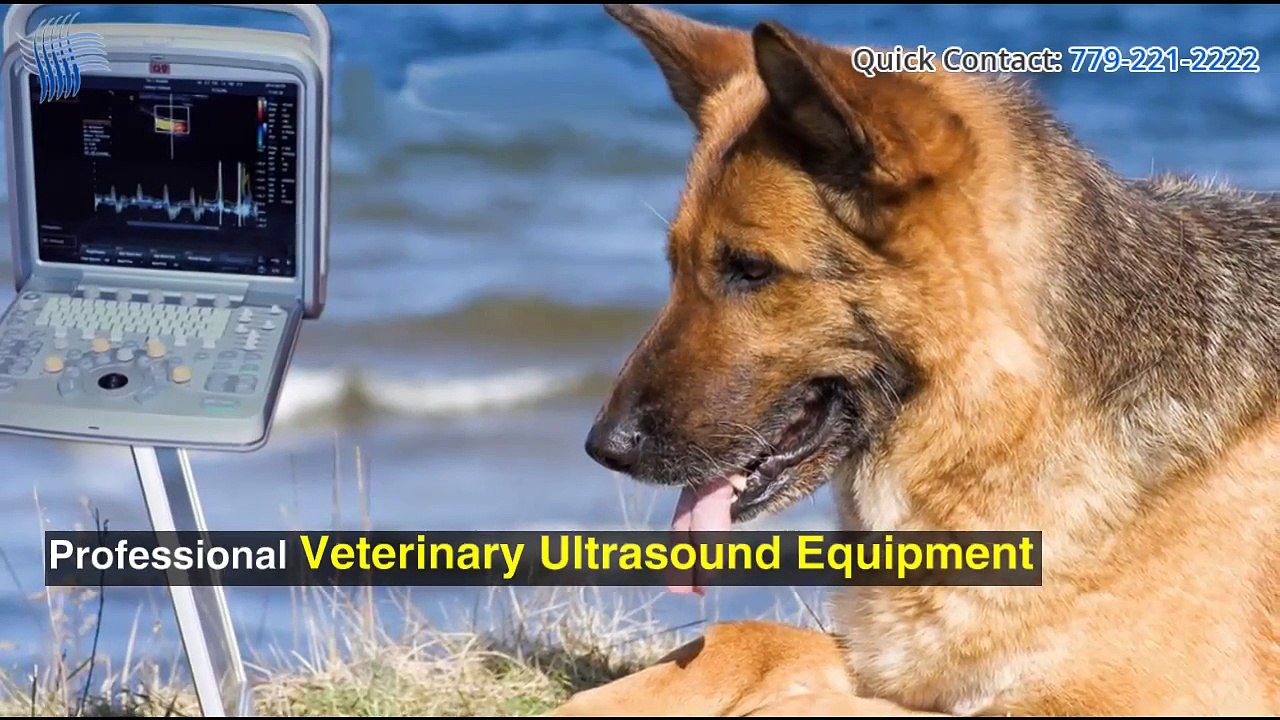 Get Excellent Vet Medical Supplies From Keebovet.com