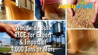 Wholesale Bulk USA Rice Broker, USA Rice Export, Where to Buy Bulk USA Rice, USA Rice in Bulk, Buy