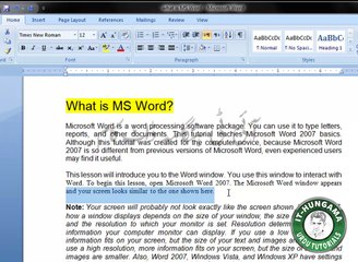 #3 Font selction (Microsoft Office Word 2007 Tutorial) Urdu & Hindi