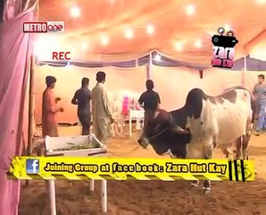 Zara Hut Kay Bakar Eid Funny Clips Pakistani funny videos | funny clips | funny video clips | comedy video | free funny videos | prank videos | funny movie clips | fun video |top funny video | funny jokes videos | funny jokes videos | comedy funny video.