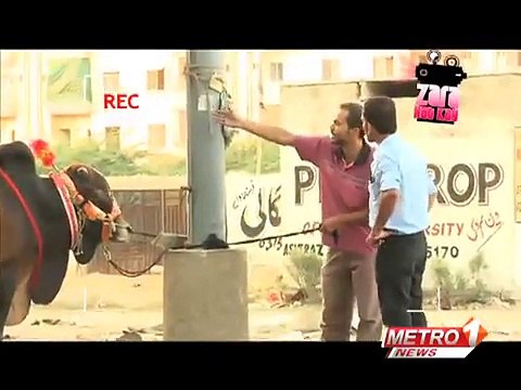 ZARA HUT KAY cow thief Pakistani funny clips mazaykero funny videos | funny clips | funny video clips | comedy video | free funny videos | prank videos | funny movie clips | fun video |top funny video | funny jokes videos | funny jokes videos | comedy fun
