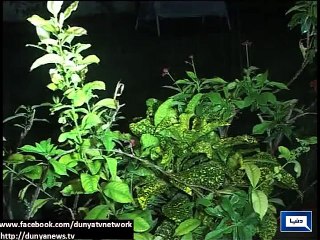 Dunya News-Drizzle in Karachi turns weather pleasant