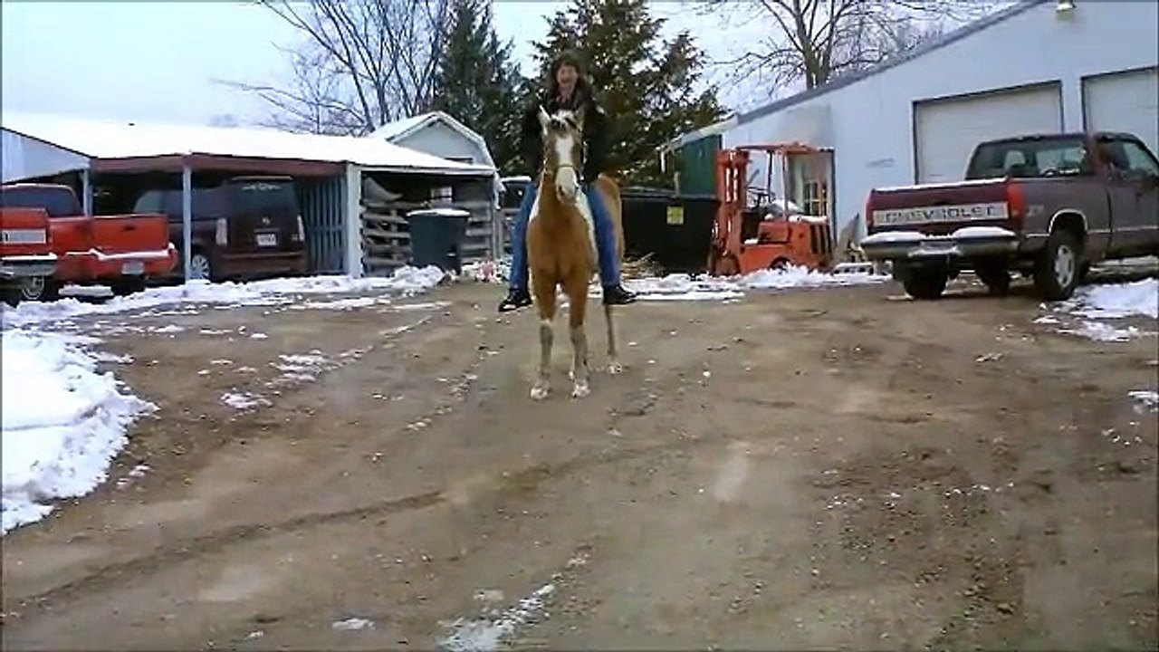Redneck breaking horse in the snow