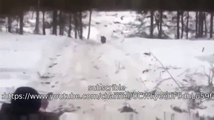 Wild boar hunting fail | Stupid Hunters Lol