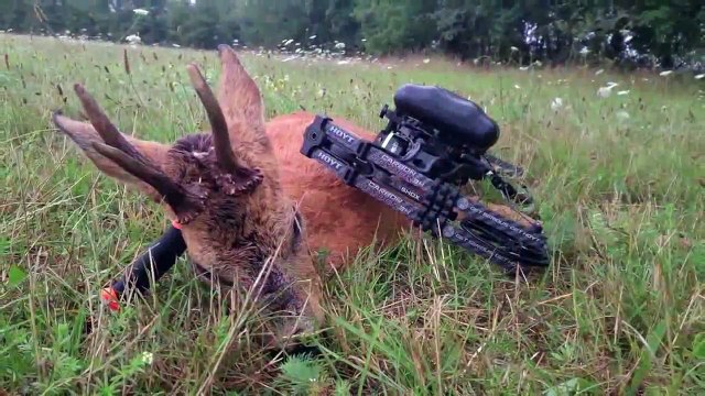 Bowhunting Deer - from the ground - whitetail hunt