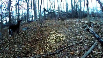 The most AMAZING Deer Hunting Video EVER!!! HD