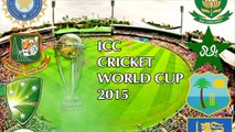2015 World Cup AB de Villiers 162 off 66 vs WI