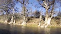 Nick Fly Fishing / With Brad F / Guadalupe River, TX / 12-7-2014 / Brads first time fly f
