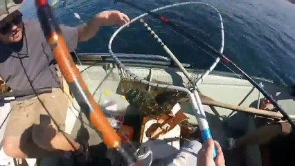 San Diego fishing on the LiL Burro 01/17/15