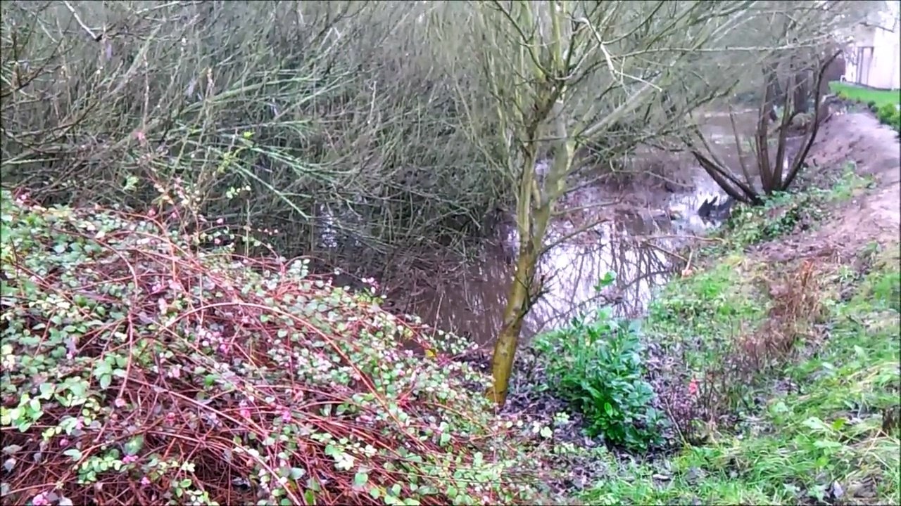 2014 - Dezember Pinneberg Regen /Full Film/Ganzer Film/Complete Movie