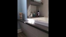 Regency Home Remodeling : Bathroom Remodeling In Park Ridge, IL