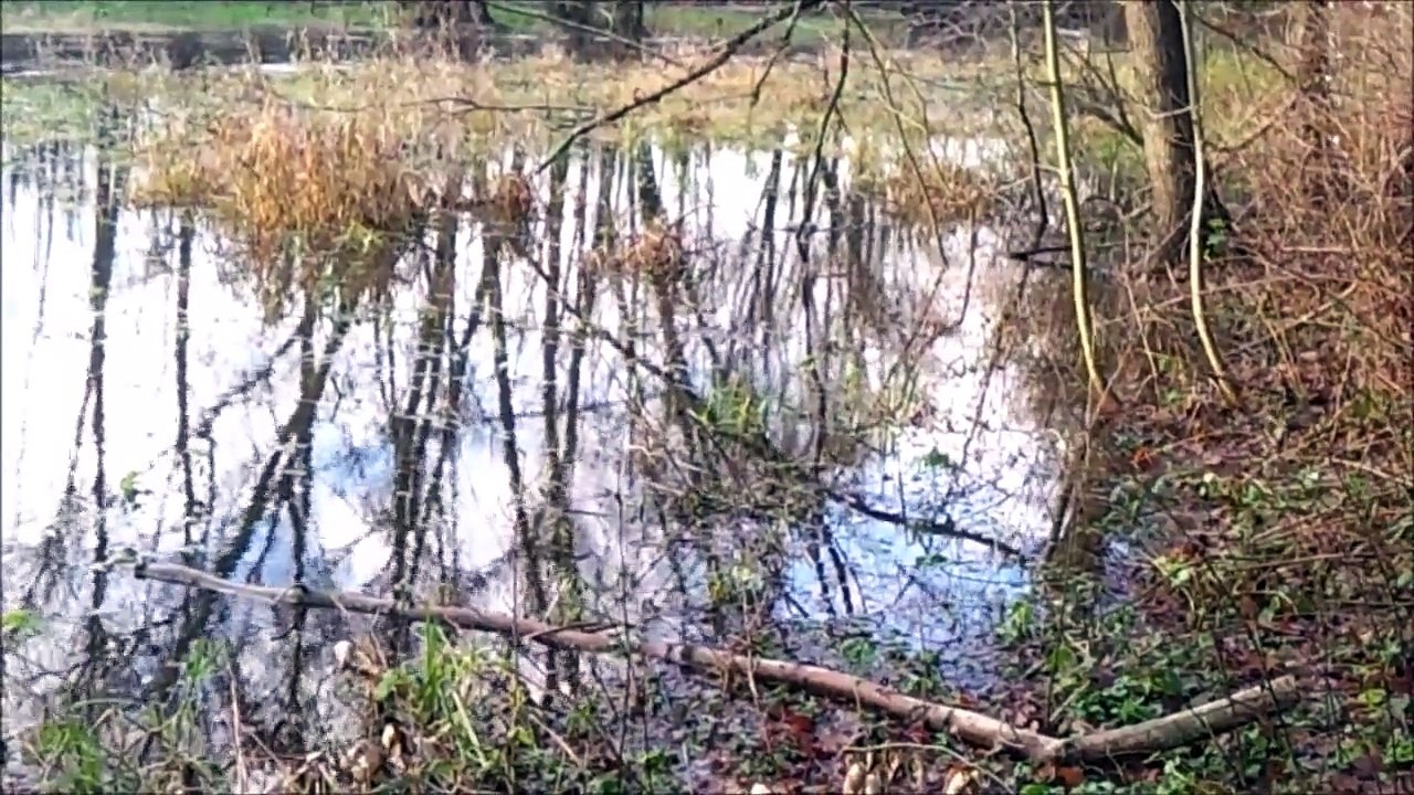 Pinneberg Dezember 2014 - Regen 02 /Full Film/Ganzer Film/Complete Movie