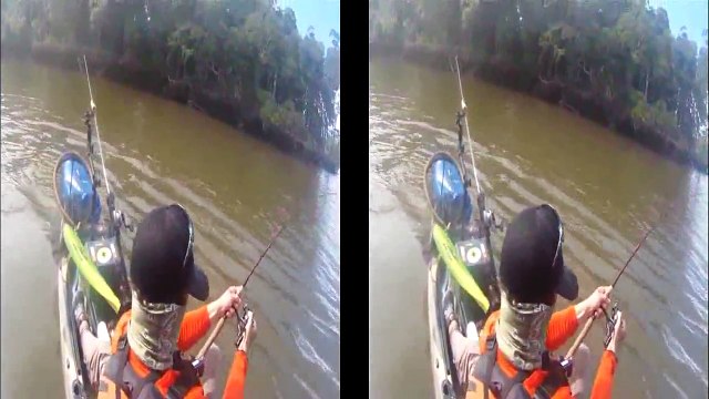 Tarpon World Fishing - Big Snook on Light Tackle - Snook Fishing