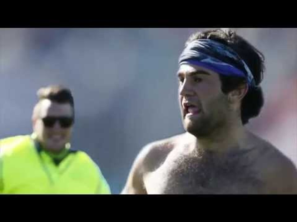 The Furred Umpire chased down by a streaker...run, Ted, run!!!