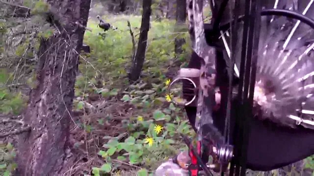 Bowhunting: MONSTER Whitetail Buck. Best Solo Hunt Ever! hunting pants