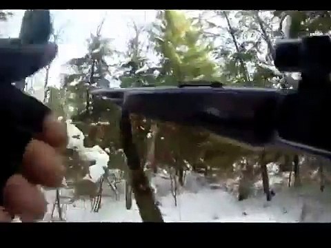 Wild boar hunting with a dog. Охота на кабана с собакой.