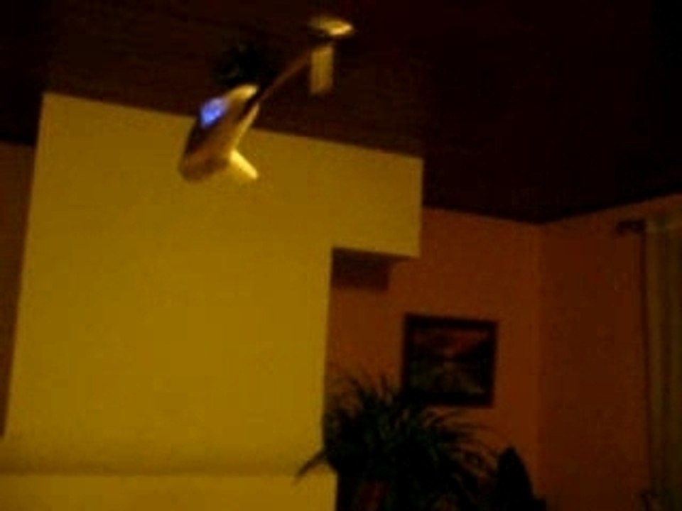 picoo z