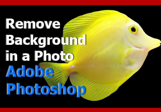 Adobe Photoshop Tutorial - Remove the Background of a Photo (Simple Photo Editing)