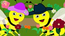 Çiçekler Rondu (1) - Çizge TV - Çizgi Film - Okul Öncesi - Ana Okulu - Çocuk Şarkıları