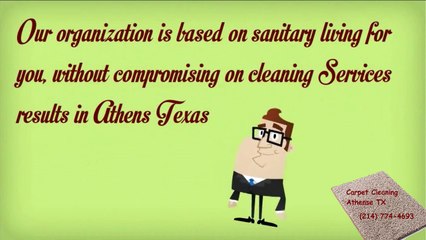 Carpet Cleaning Athense TX - (214) 774-4693 - Pollen Stain Removal