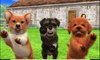 Nintendogs plus Cats Toy Poodle and New Friends Gameplay (Nintendo 3DS) [60 FPS] [1080p] Top Screen