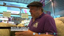 Salon de l'agriculture : que se passe-t-il la nuit ?
