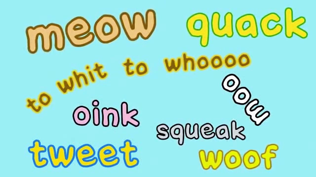 The Animal Sounds Song