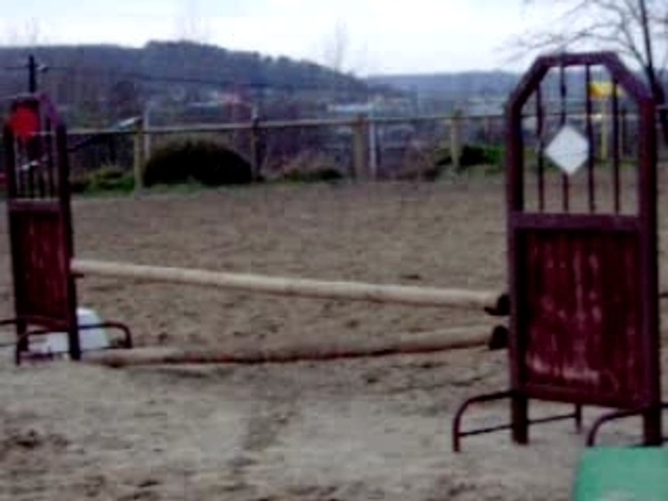 obstacle