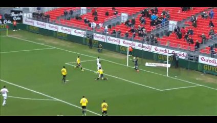 Goal Adnane - Brest 1-0 Sochaux - 28-02-2015