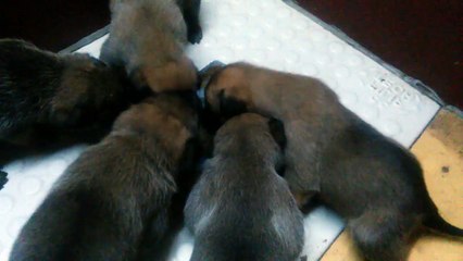 Be Aware H's @ Das große Fressen - Teil 3