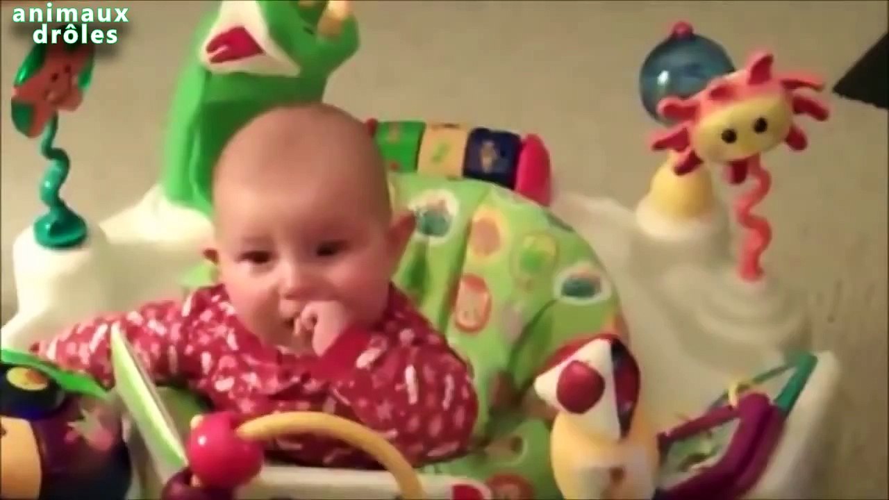 Chiens drôles - Meilleure Garde animaux pour bébés Compilation 2014