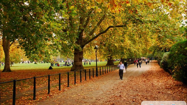 Стас Михайлов Лондон