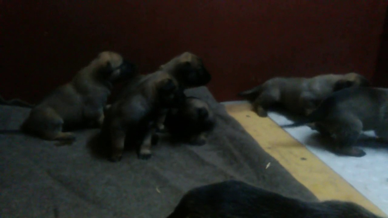 Be Aware H's @ Rumble in the box-2