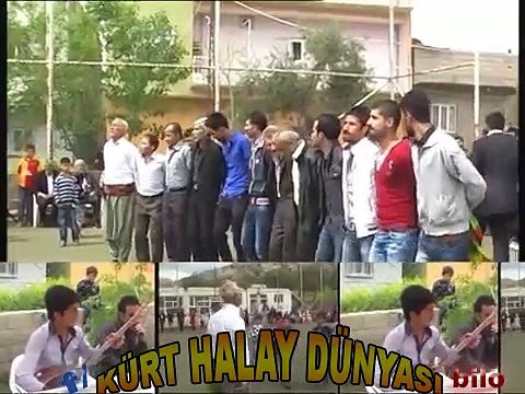 güneydoğu mardin halayları