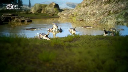 Extrait / Gameplay - Final Fantasy XV (Animaux et Végétation du Jeu)