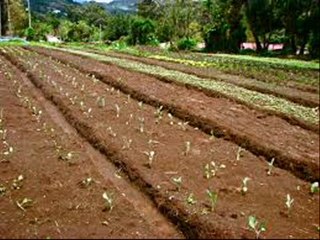 Kitchen Gardening Sabzian uganay k tareeqay  by  Dr. Ashraf Sahibzada​   28.2.2015
