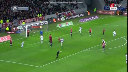 Corentin Tolisso 0:1 | Lille - Lyon 28.02.2015 HD