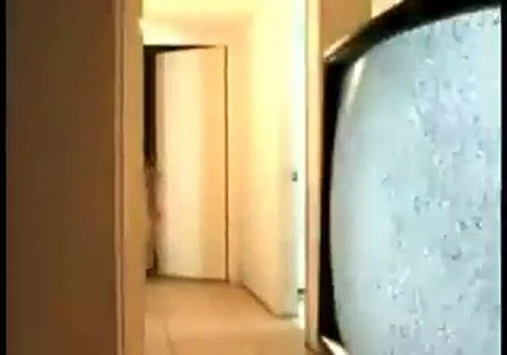 what a dance must watch