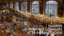 Galeries d'Anatomie Comparée et de Paléontologie - Jardin des Plantes - Paris - France