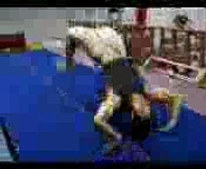 Great Jamnastic Moves - a fun to atch