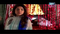 Meka Aur Susraal Episode 40 Full ARY Zindagi Online 28th Feb 2015