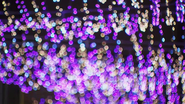 Świąteczna iluminacja i choinka na Placu Zamkowym