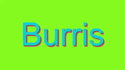 How to Pronounce Burris