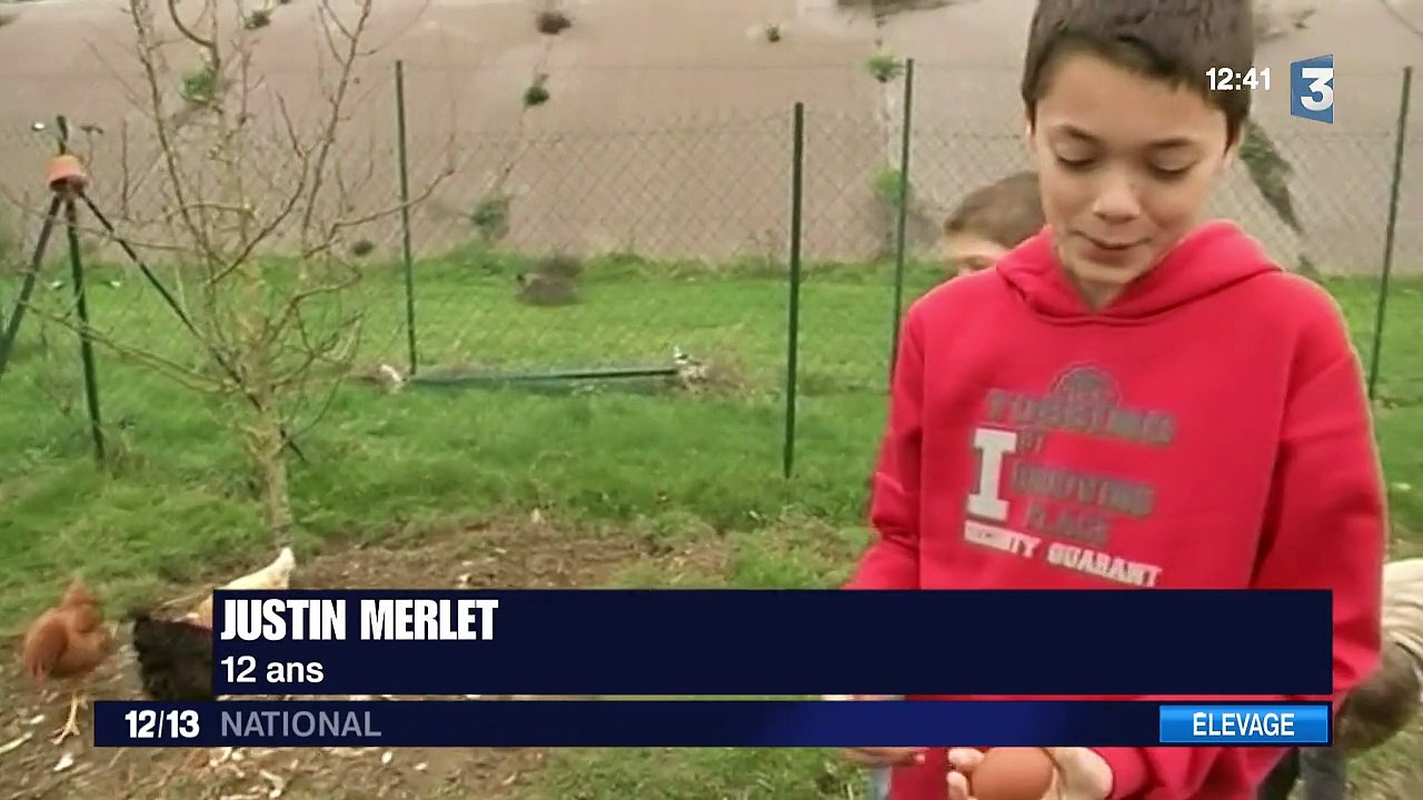 Des poules pour réduire les déchets ménagers