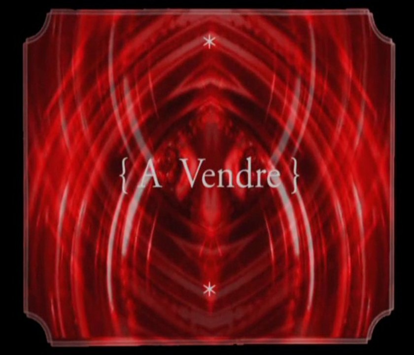 Hervé Lafleur - { A VENDRE } - Poésie Sonore ( Hervé Lafleur / Stathis ) [DEMO]