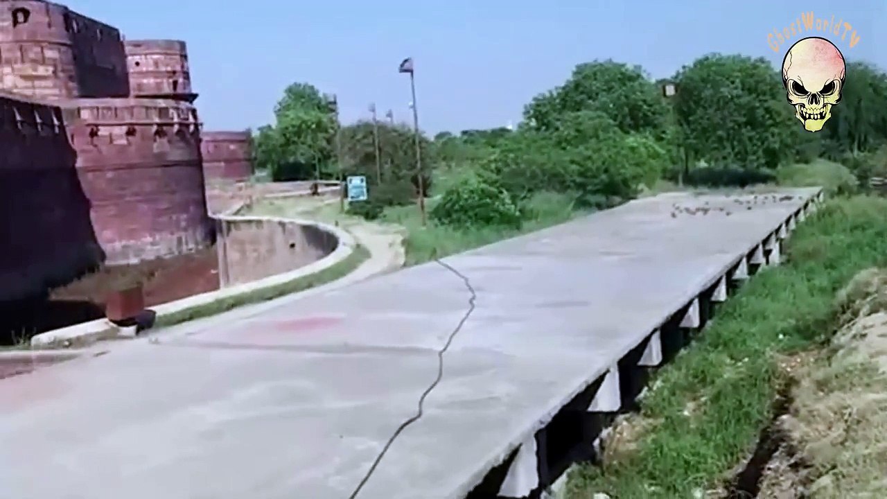 Flying ghost hunting pigeon real live footage!!! Rare footage