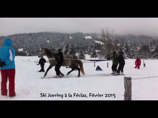 Ski Joering
